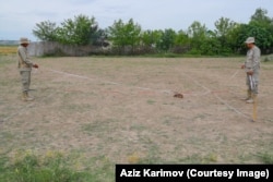 A demonstration of mine clearance by a rat and its handlers in Azerbaijan.