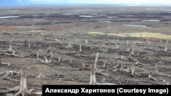 A forest around Norilsk that died due to the harmful emissions.