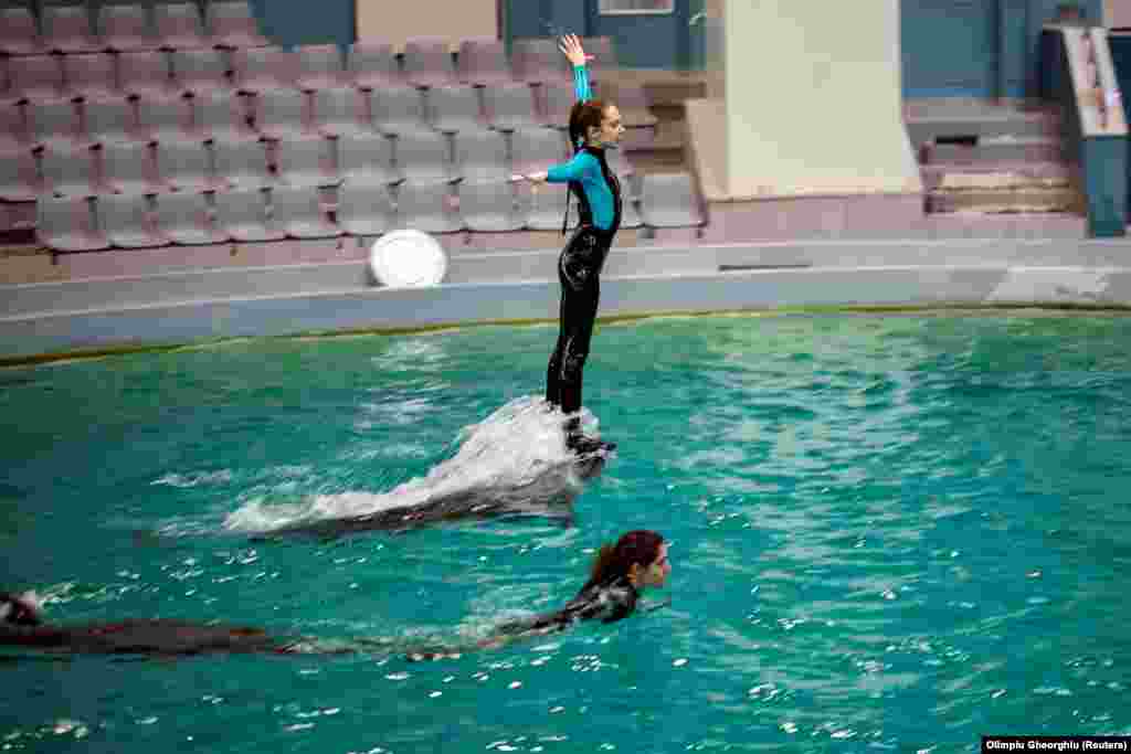 Despite initial language barriers, the Romanian and Ukrainian trainers found common ground in their love for their mammals. &quot;We get along together very well, we speak the same &#39;language.&#39; It&#39;s the best thing that could happen to our dolphins,&quot; one of the trainers said. &nbsp;